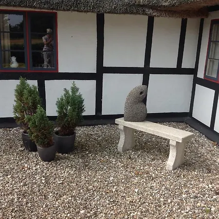 Naboløs Bed'n Kitchen - Nyborg *