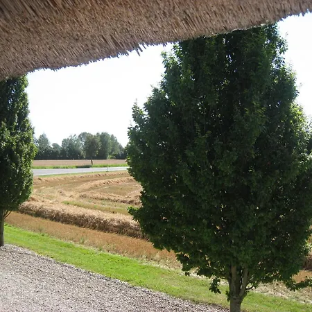 Nabolos * Bovense
