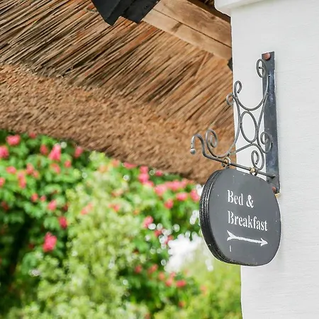 Bed and breakfast Nabolos