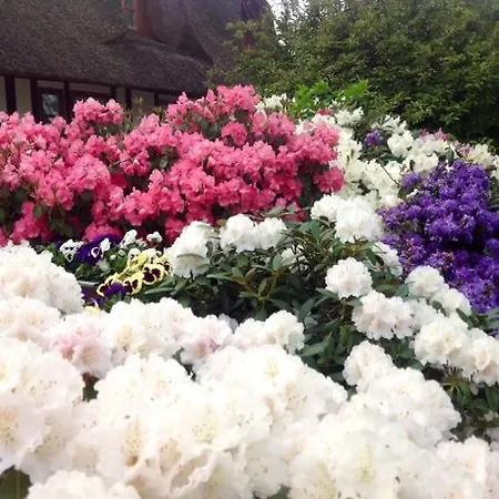 Bed & Breakfast Nabolos Bovense